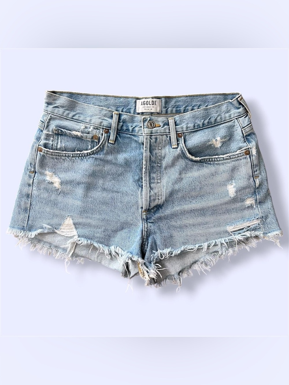 AGOLDE Parker Vintage Cut Off Shorts